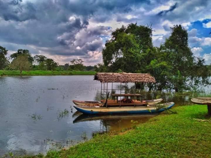 Elephant Safari Lodge Sigiriya Junction Habarana Exteriör bild