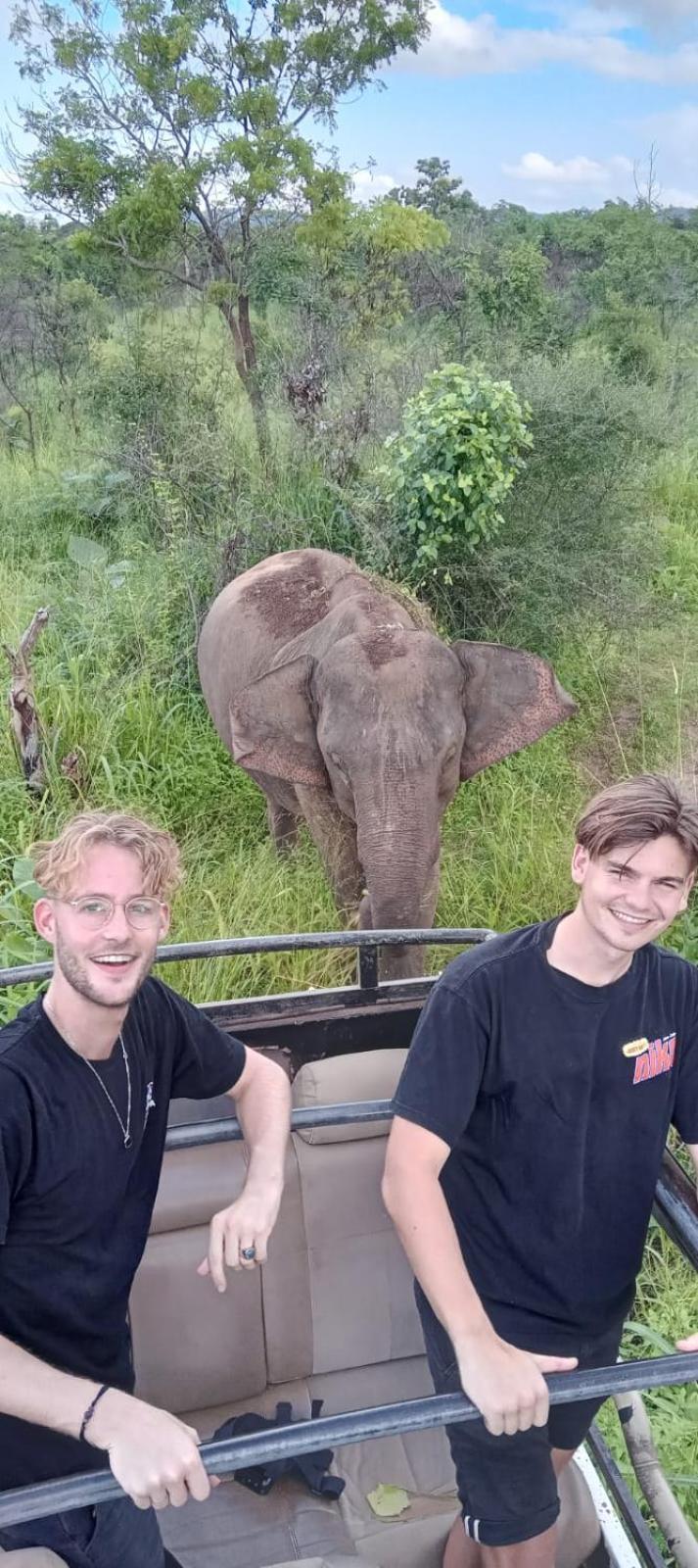 Elephant Safari Lodge Sigiriya Junction Habarana Exteriör bild
