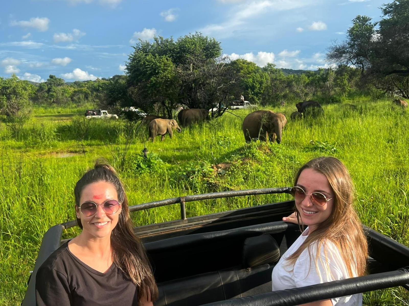 Elephant Safari Lodge Sigiriya Junction Habarana Exteriör bild