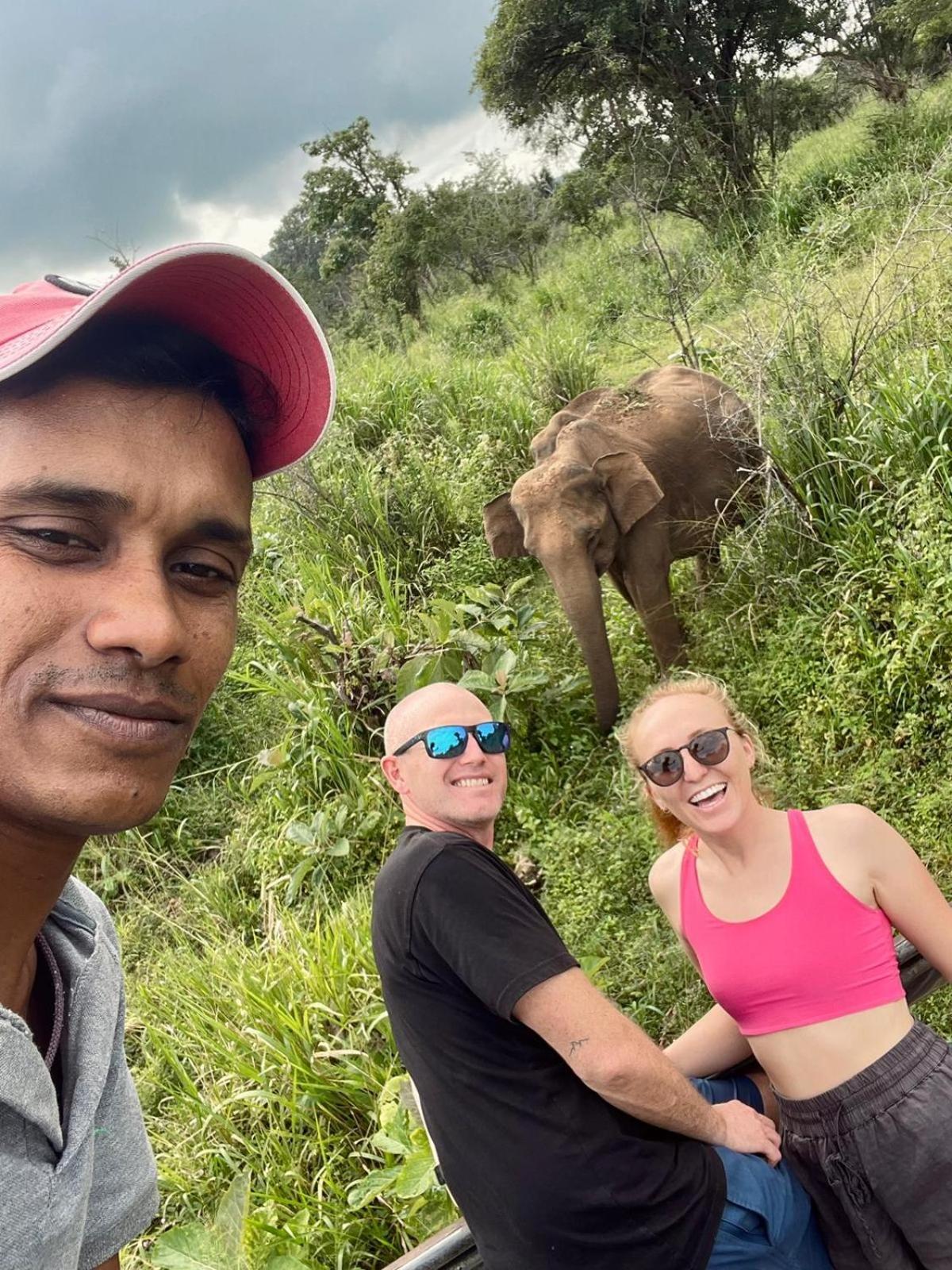 Elephant Safari Lodge Sigiriya Junction Habarana Exteriör bild