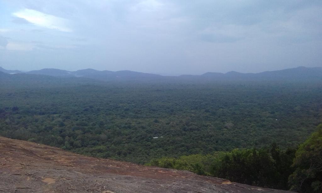 Elephant Safari Lodge Sigiriya Junction Habarana Exteriör bild