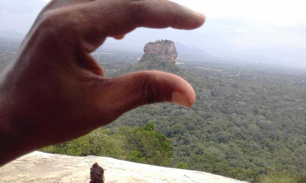 Elephant Safari Lodge Sigiriya Junction Habarana Exteriör bild