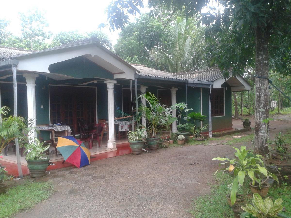 Elephant Safari Lodge Sigiriya Junction Habarana Exteriör bild